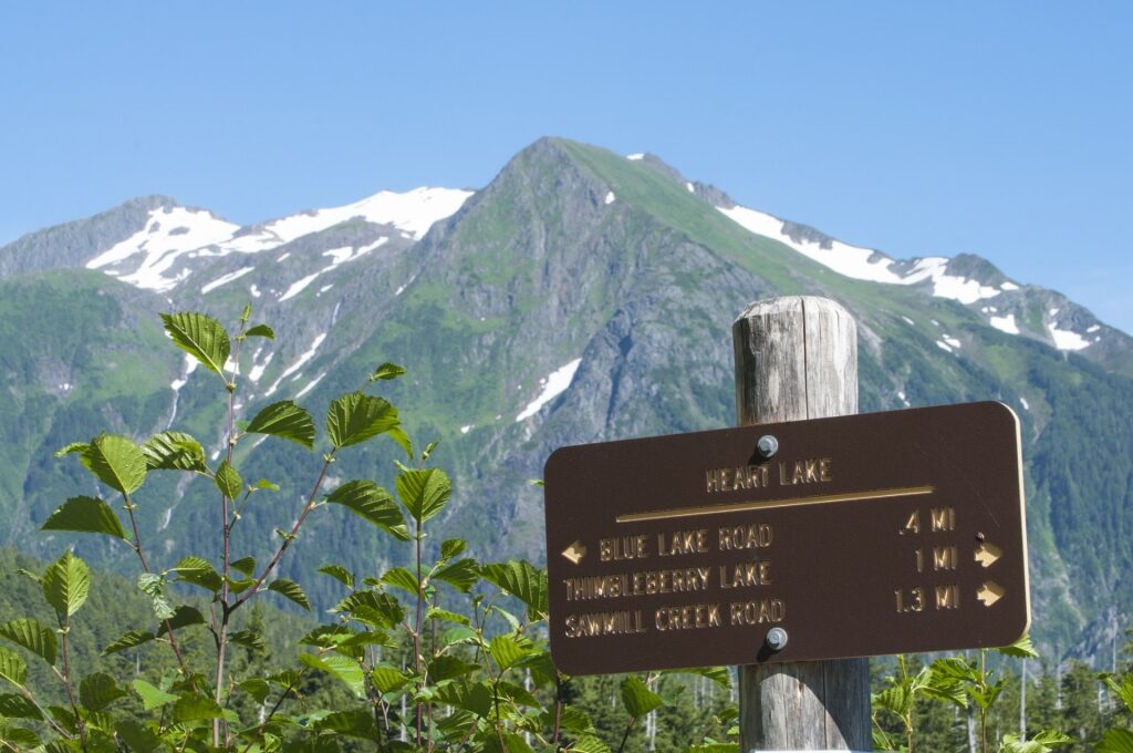 View while hiking in Thimbleberry Trail